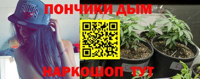 ешки Будённовск