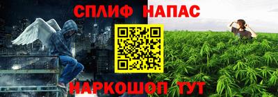 ешки Будённовск