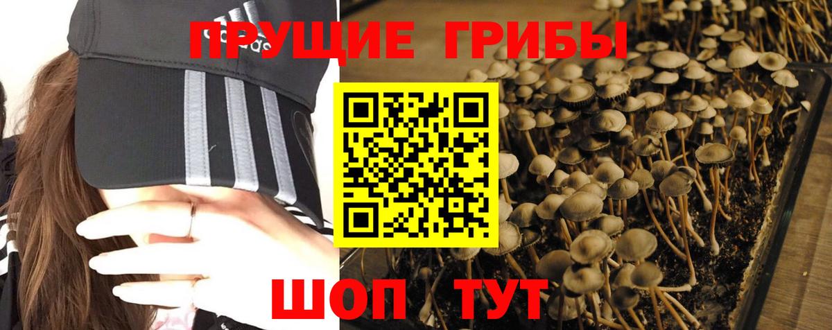 Галлюциногенные грибы прущие грибы  Псилоцибиновые грибы Magic Shrooms  Котлас  Вход с VPN 