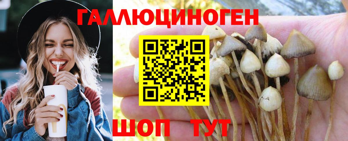 Галлюциногенные грибы мицелий Котлас